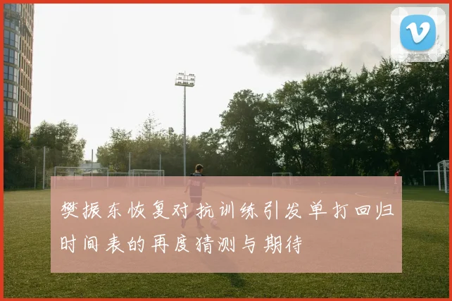 樊振东恢复对抗训练引发单打回归时间表的再度猜测与期待