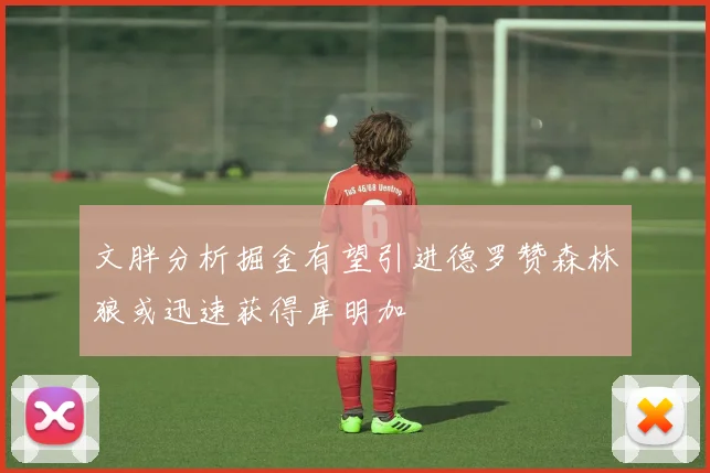 文胖分析掘金有望引进德罗赞森林狼或迅速获得库明加