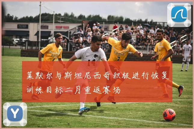 莱默尔与斯坦尼西奇积极进行恢复训练目标二月重返赛场