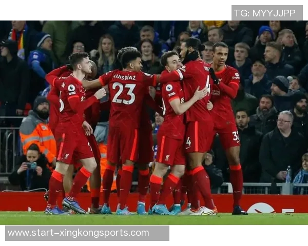 比利时国家队10月集训名单公布德布劳内领衔多库特罗萨德等新星入选